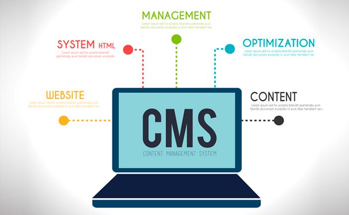 cms Web Development Process